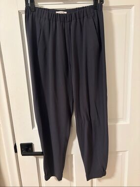 Charcoal Aritzia Babaton Jogger Pants